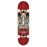 BIRDHOUSE COMPLETE SKATEBOARD  8 INCH WIDE